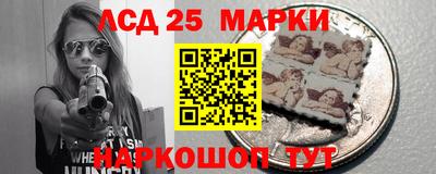 гидропоника Будённовск