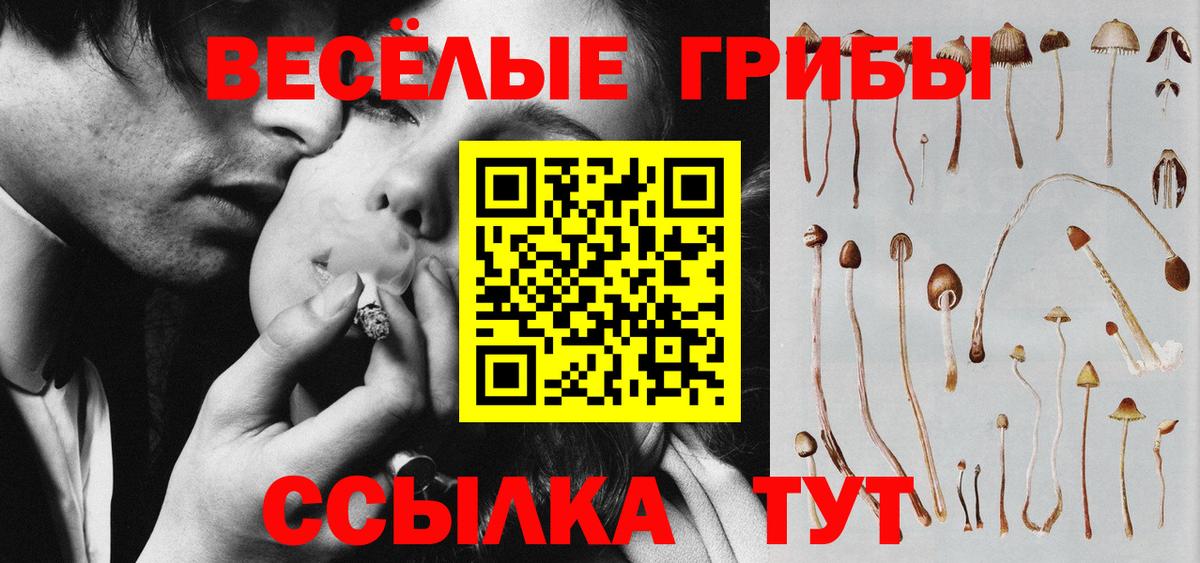 Псилоцибиновые грибы ЛСД Сердобск