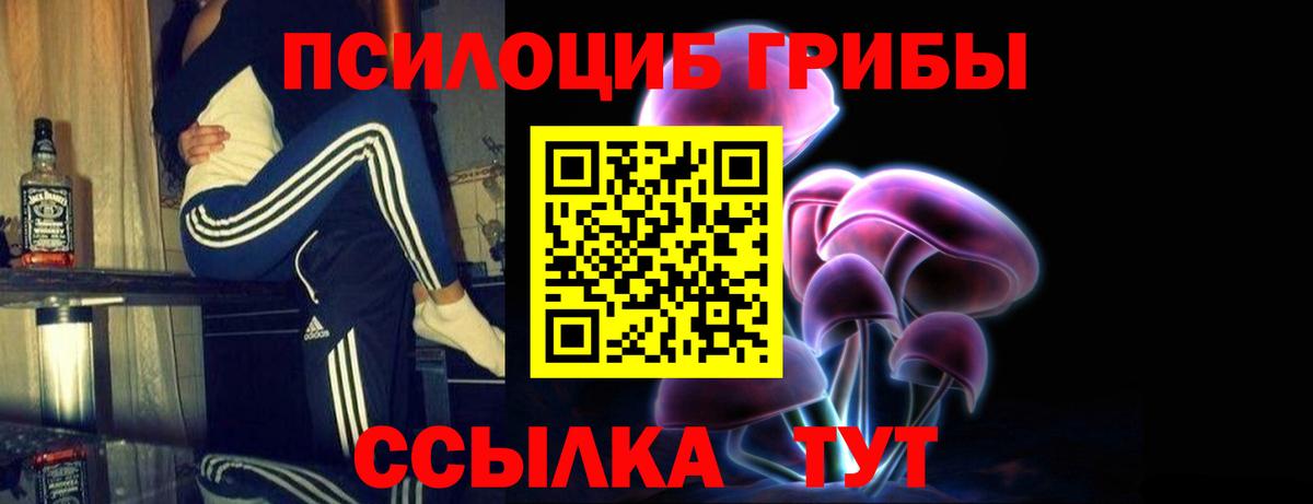 Сердобск  Галлюциногенные грибы мухоморы  Псилоцибиновые грибы Psilocybine cubensis  где купить наркоту  Вход с VPN 